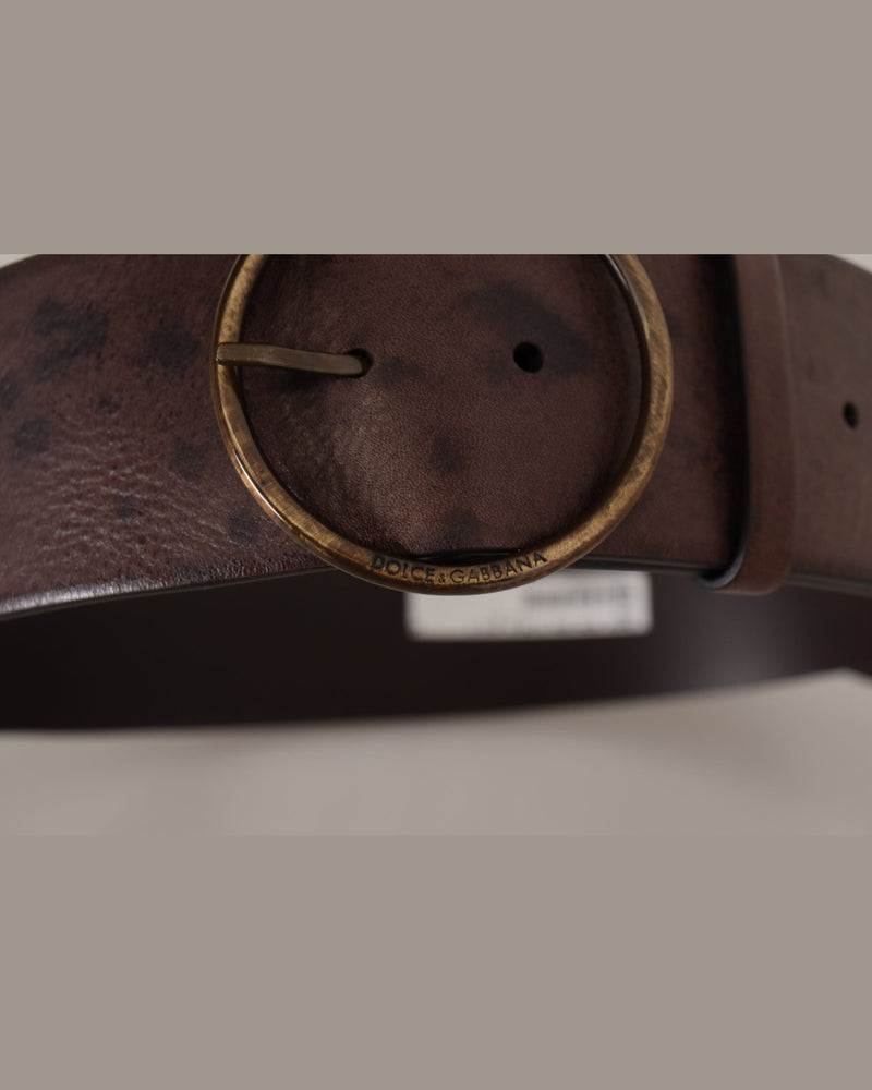 Dolce & Gabbana Dark Brown Leather Wide Calf Logo Round Buckle Belt Glam Steals