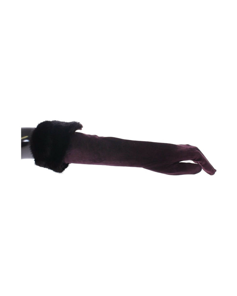 Dolce & Gabbana Elegant Elbow Length Fur Purple Gloves Glam Steals