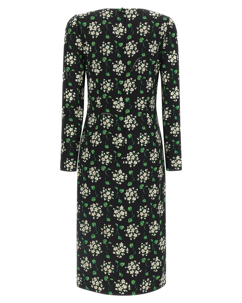 Dolce & Gabbana Flower Print Dress Glam Steals