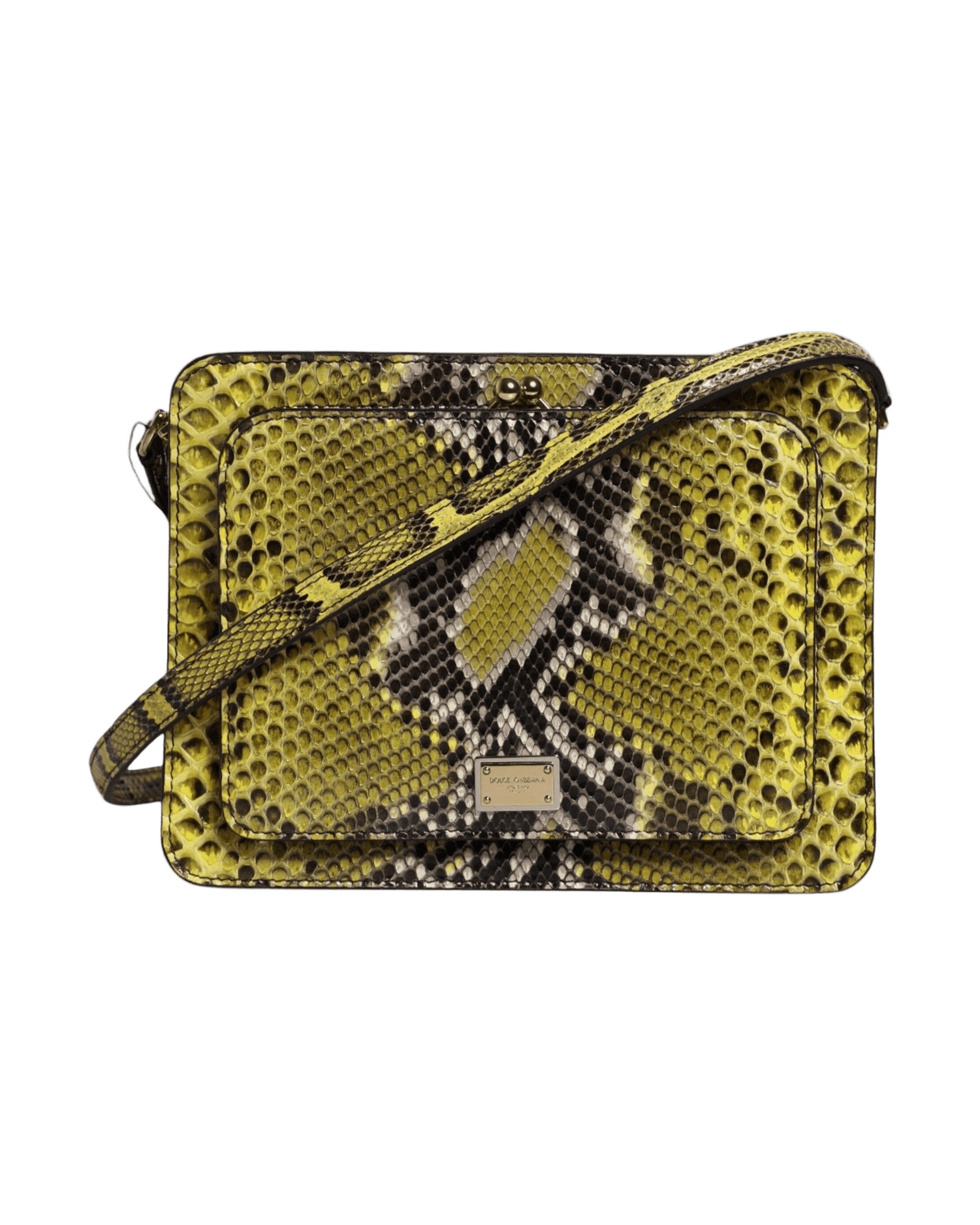 Dolce & Gabbana Green Leather Exotic Dg Plaque Crossbody Clutch Bag Glam Steals