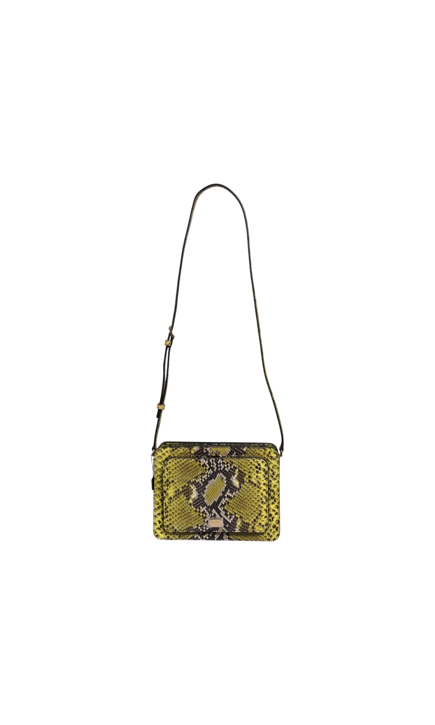 Dolce & Gabbana Green Leather Exotic Dg Plaque Crossbody Clutch Bag Glam Steals