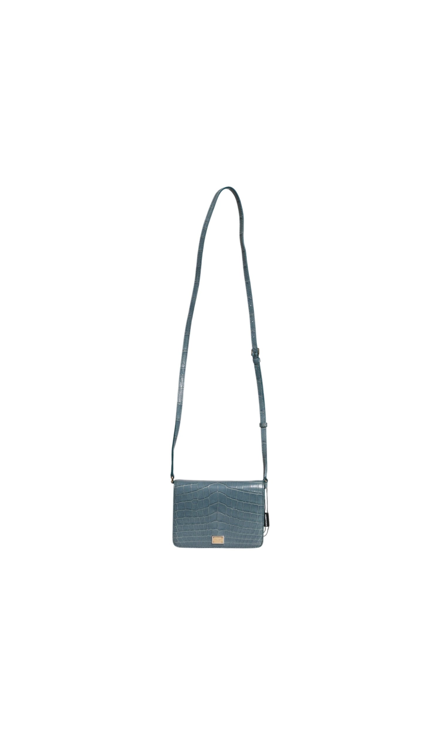 Dolce & Gabbana Green Leather Exotic Dg Plaque Crossbody Mini Bag Glam Steals