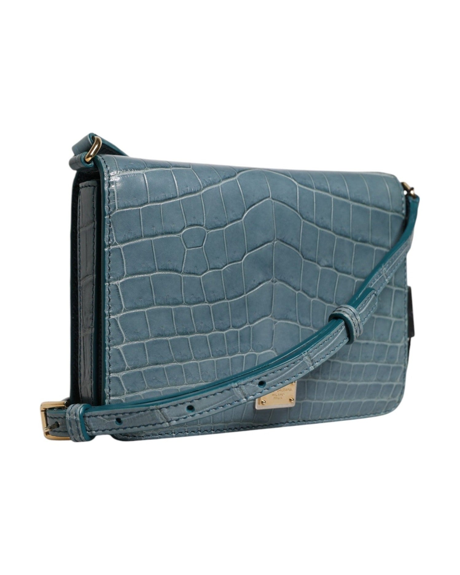 Dolce & Gabbana Green Leather Exotic Dg Plaque Crossbody Mini Bag Glam Steals