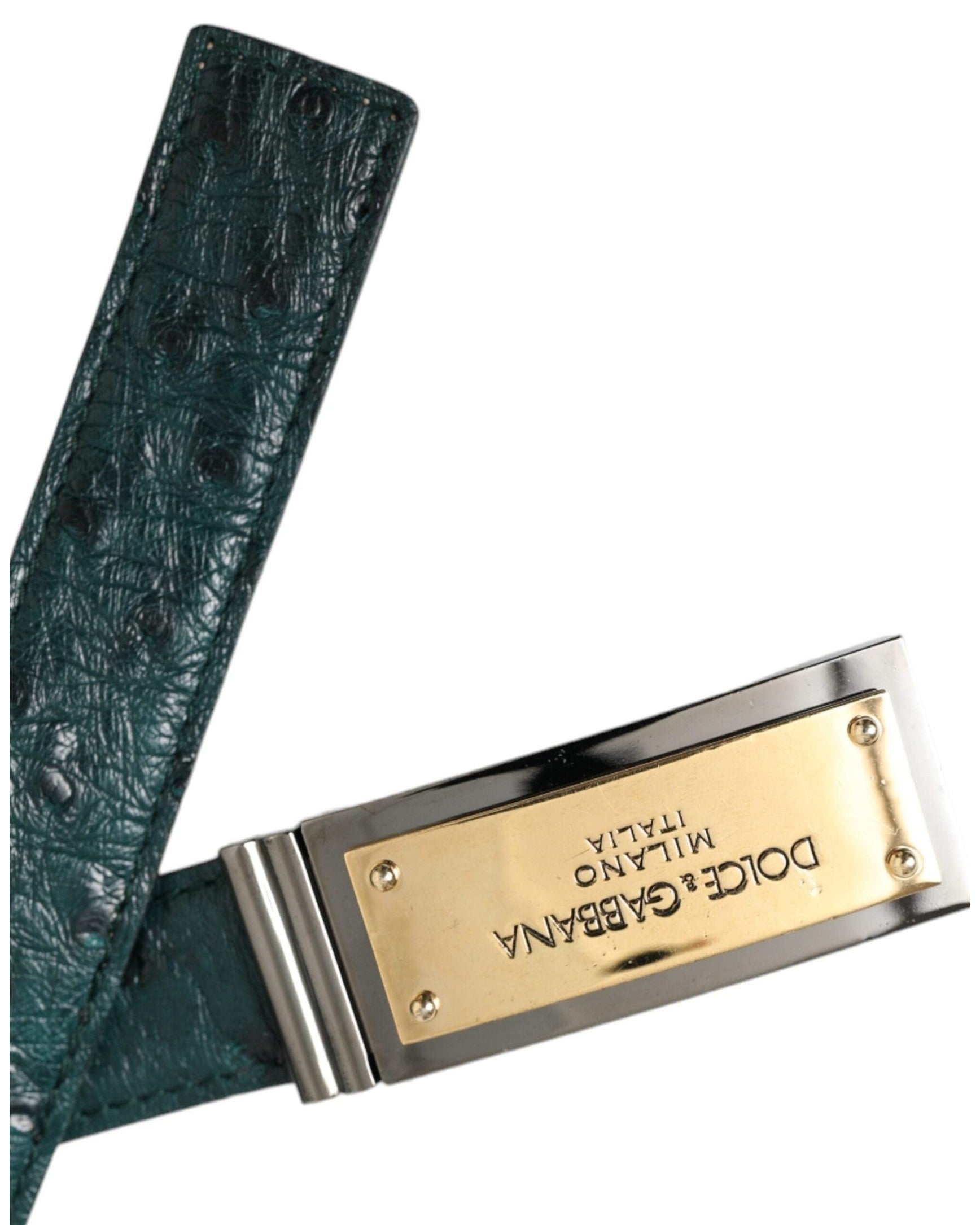Dolce & Gabbana Green Leather Gold Logo Engraved Buckle Belt Belts
