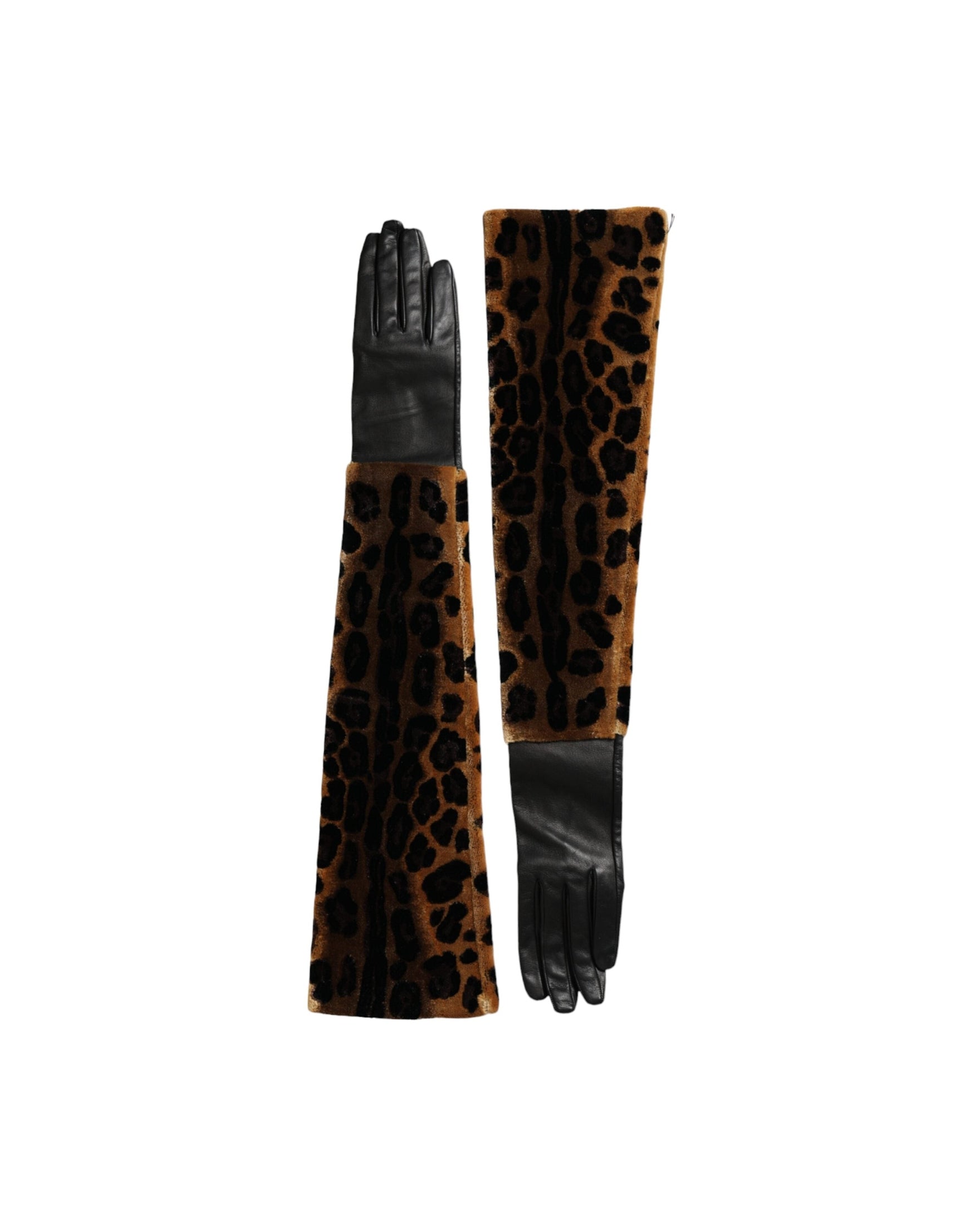 Dolce & Gabbana Leopard Leather Elbow Length Brown Black Gloves Glam Steals