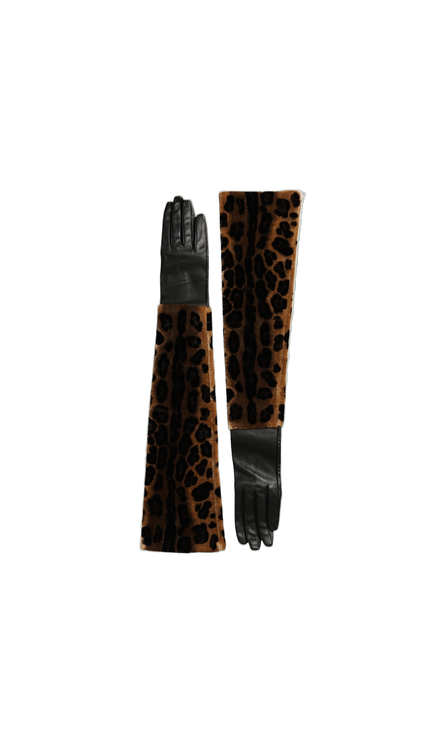 Dolce & Gabbana Leopard Leather Elbow Length Brown Black Gloves Glam Steals