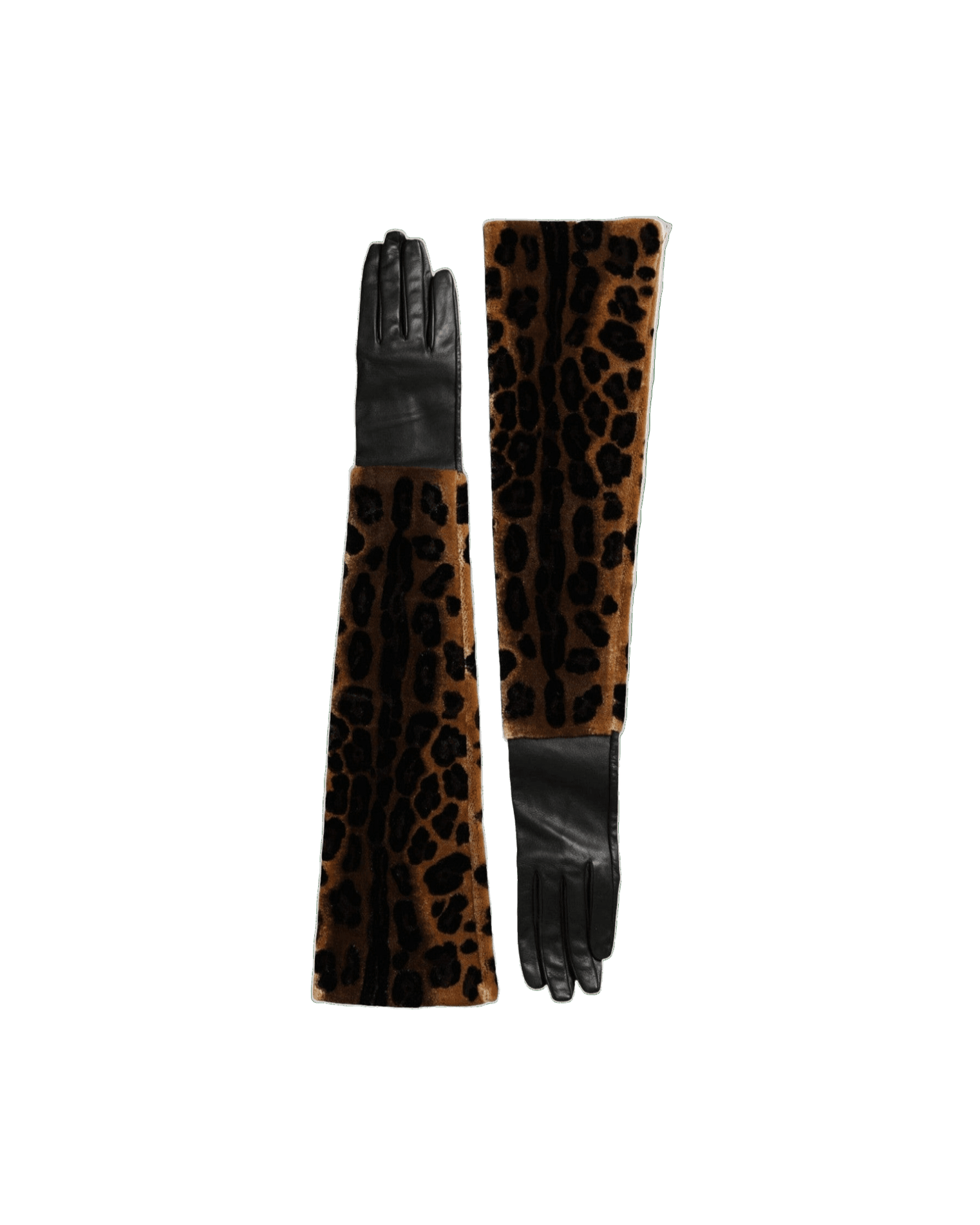 Dolce & Gabbana Leopard Leather Elbow Length Brown Black Gloves Glam Steals