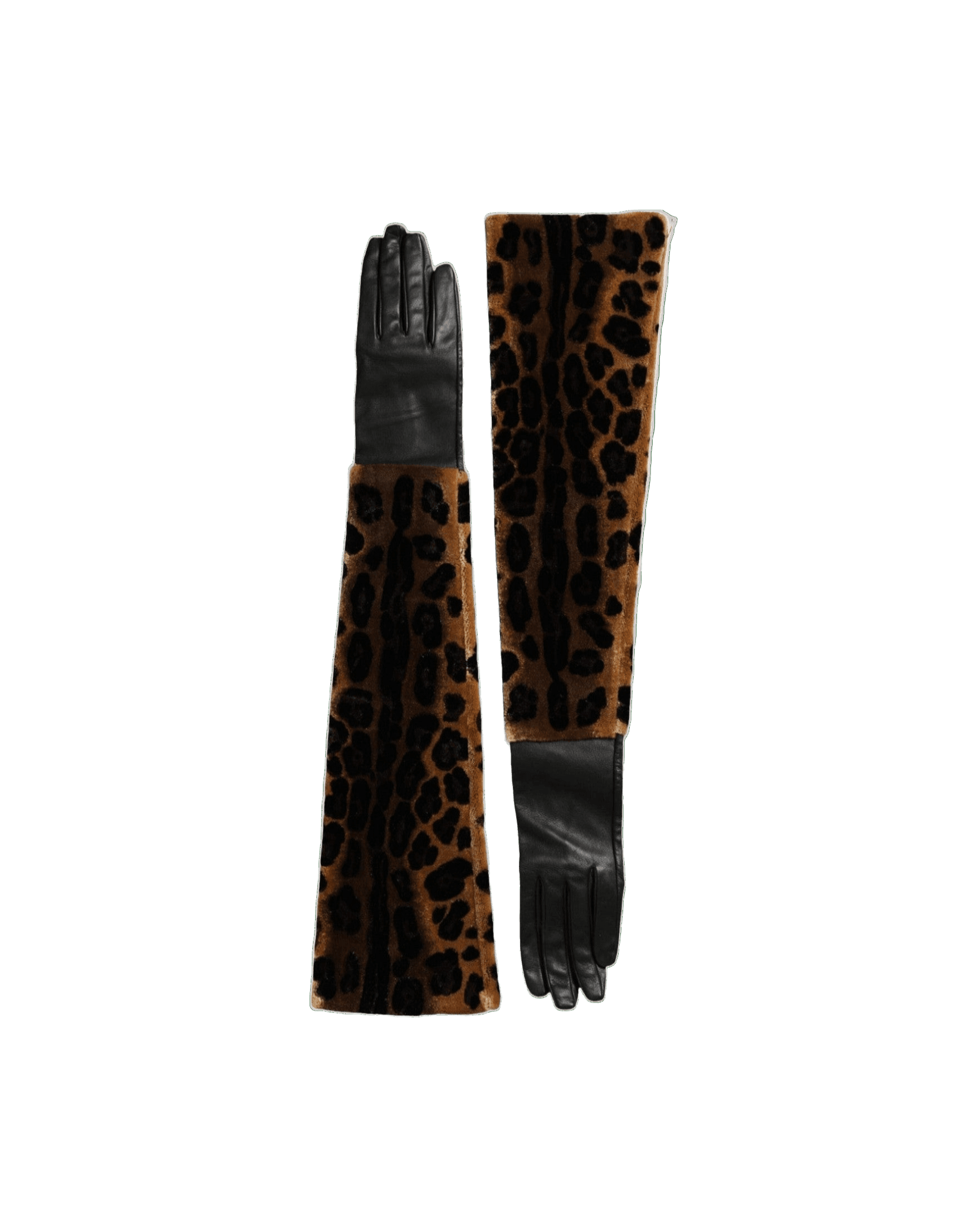 Dolce & Gabbana Leopard Leather Elbow Length Brown Black Gloves Glam Steals