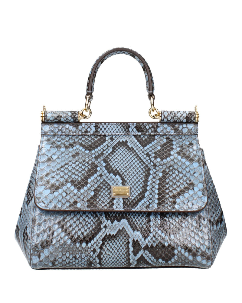Dolce & Gabbana Light Blue Skin Handbag Glam Steals