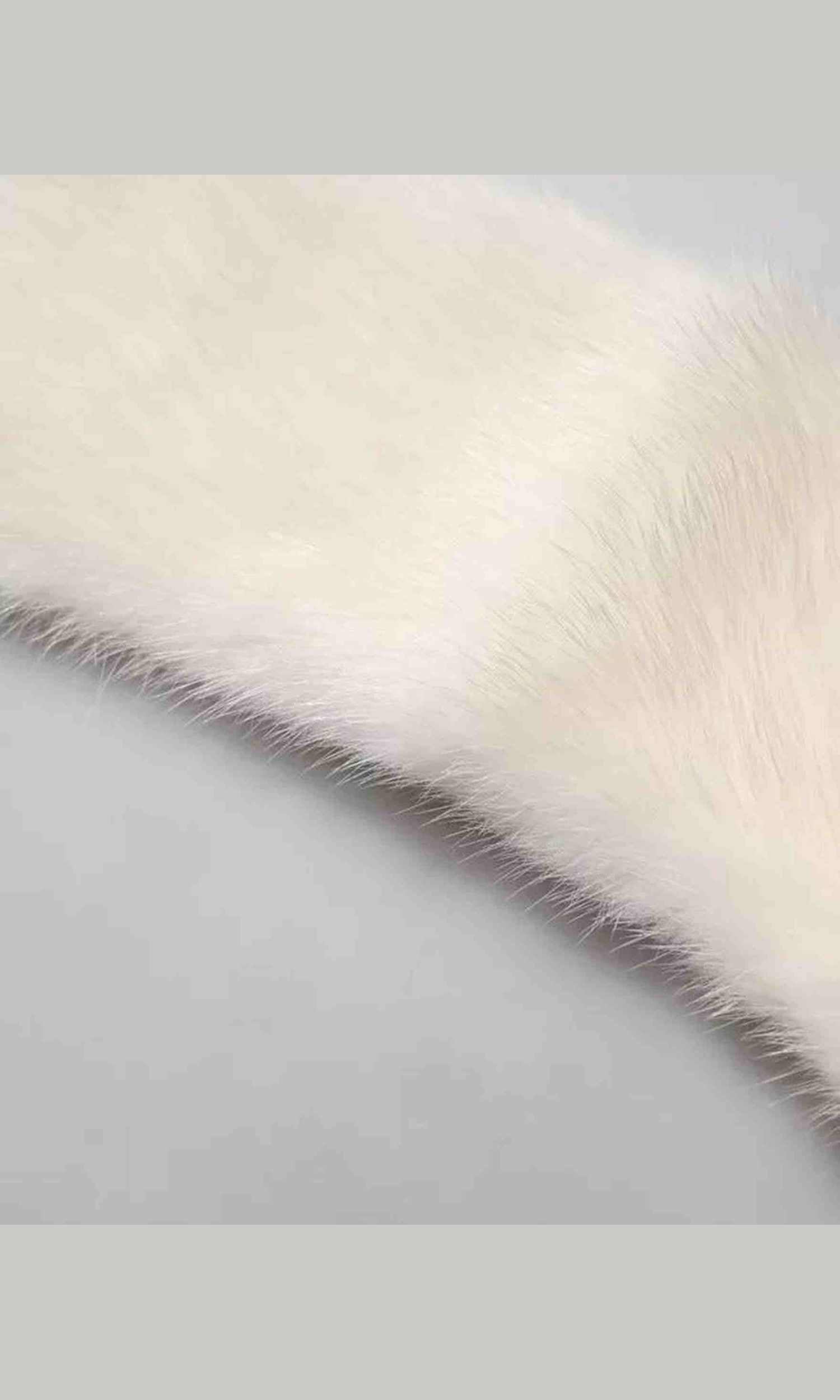 Dolce & Gabbana Mink Fur Collar Women Neck Wrap White Scarf Glam Steals