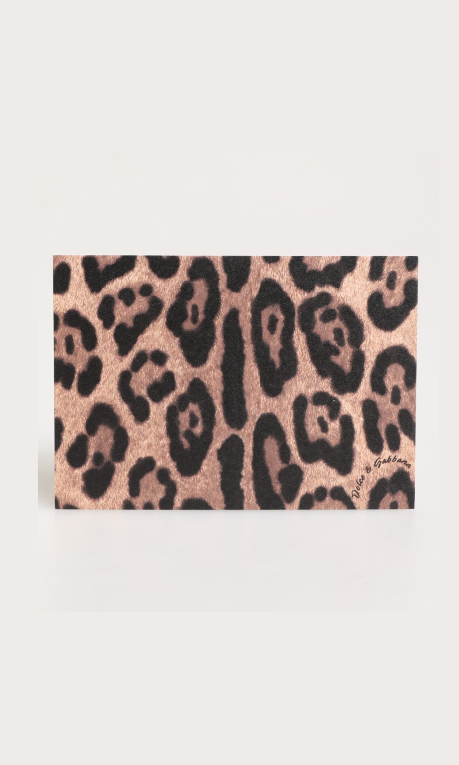 Dolce & Gabbana Multicolor Leopard Print Envelope Paper Post Card Holder Glam Steals