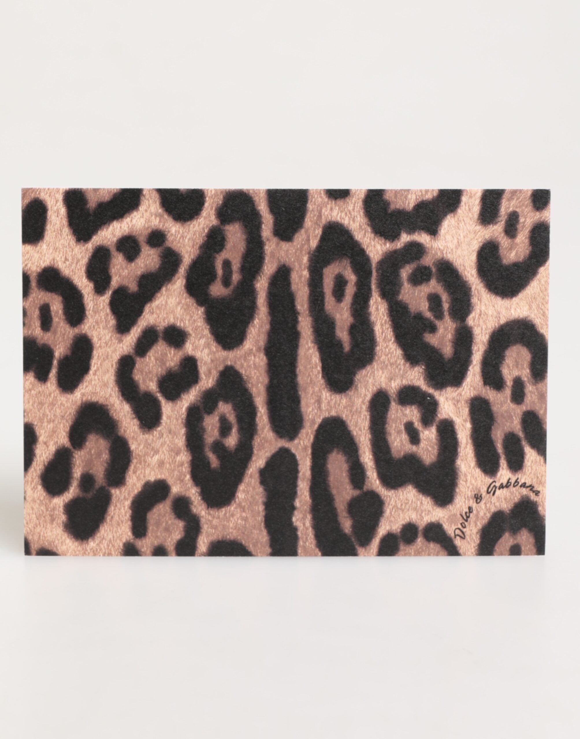 Dolce & Gabbana Multicolor Leopard Print Envelope Paper Post Card Holder Glam Steals
