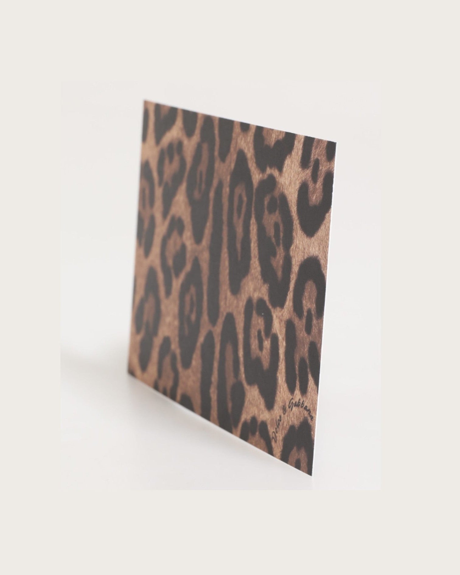 Dolce & Gabbana Multicolor Leopard Print Envelope Paper Post Card Holder Glam Steals