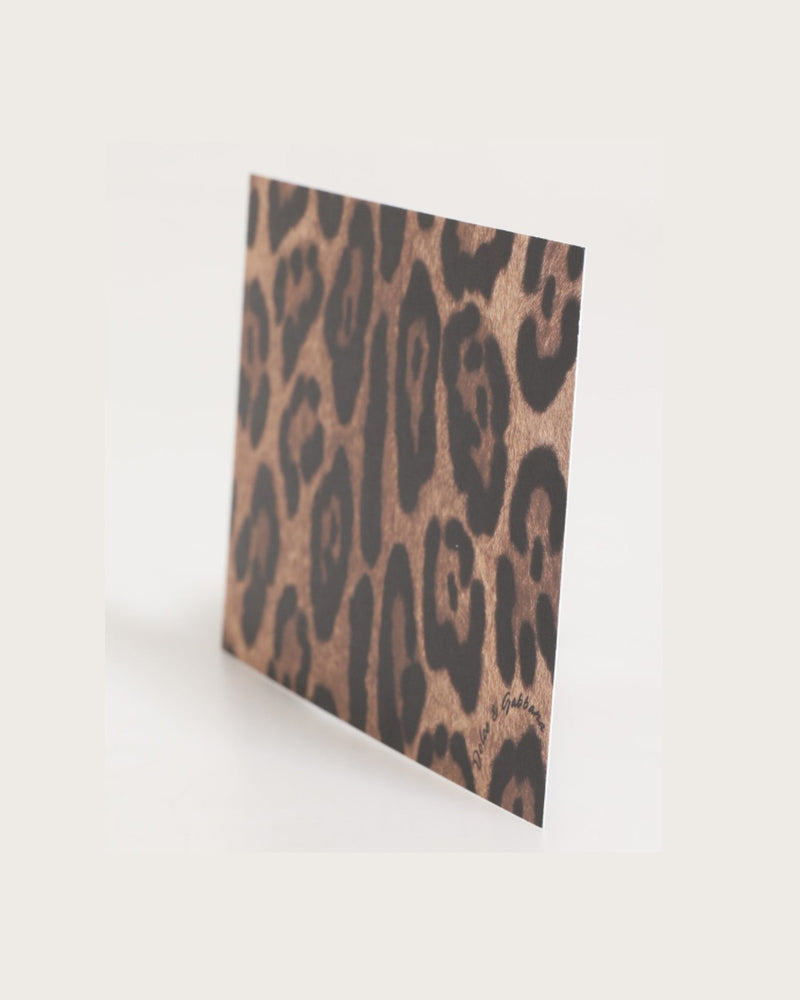 Dolce & Gabbana Multicolor Leopard Print Envelope Paper Post Card Holder Glam Steals