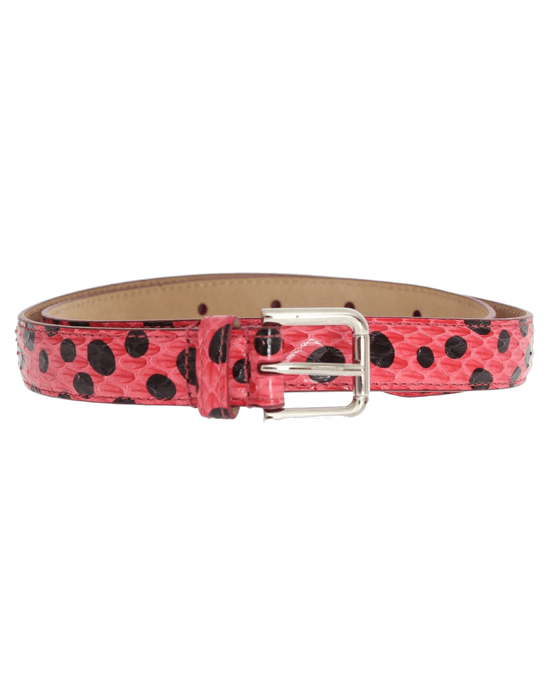 Dolce & Pink Gabbana Polka Snakeskin Buckle Belt Glam Steals