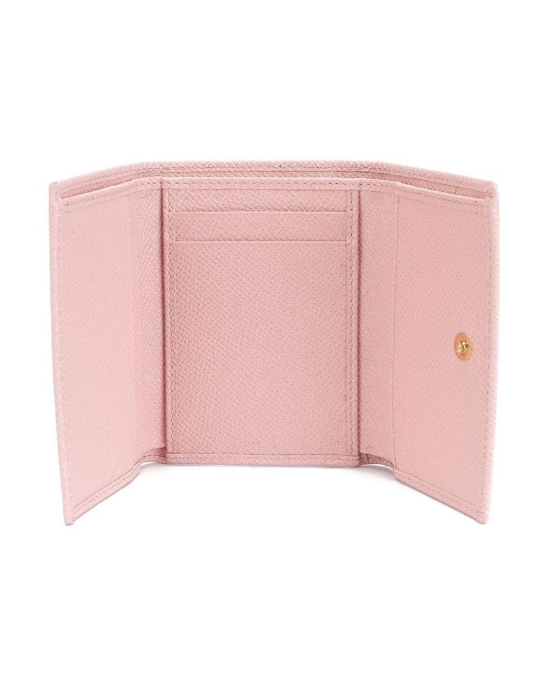 Dolce & Gabbana Pink Wallets Wallets
