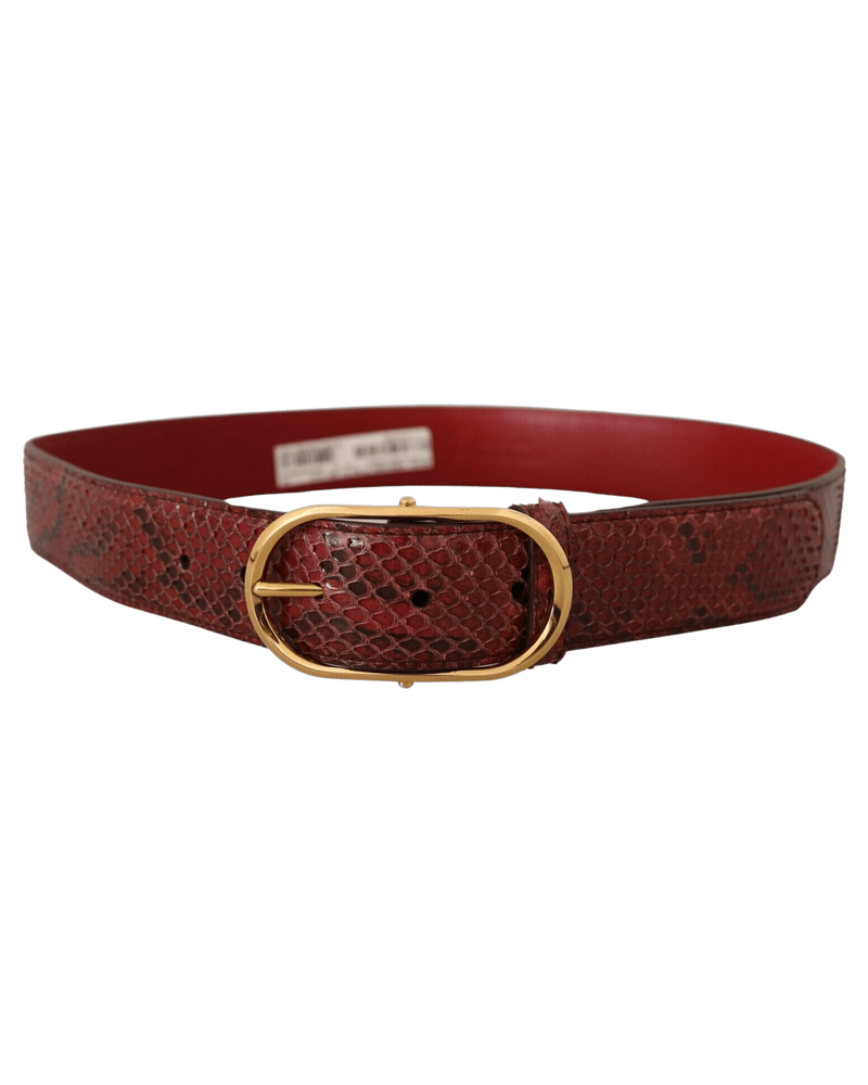Dolce & Red Gabbana Leather Exotic Oval Buckle Belt Glam Steals