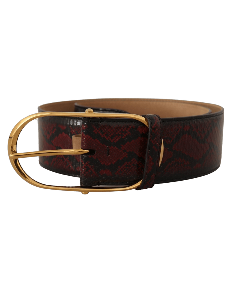 Dolce & Red Gabbana Leather Exotic Oval Buckle Belt Glam Steals