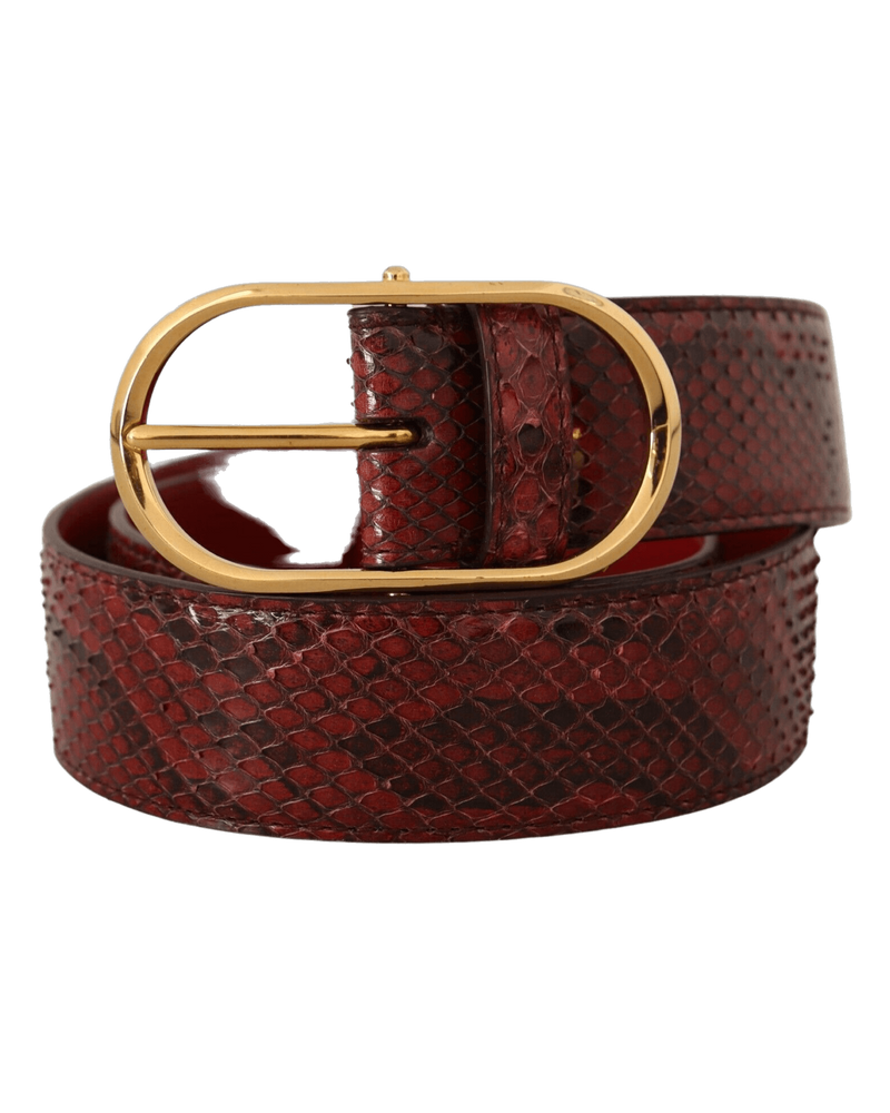 Dolce & Red Gabbana Leather Exotic Oval Buckle Belt Glam Steals