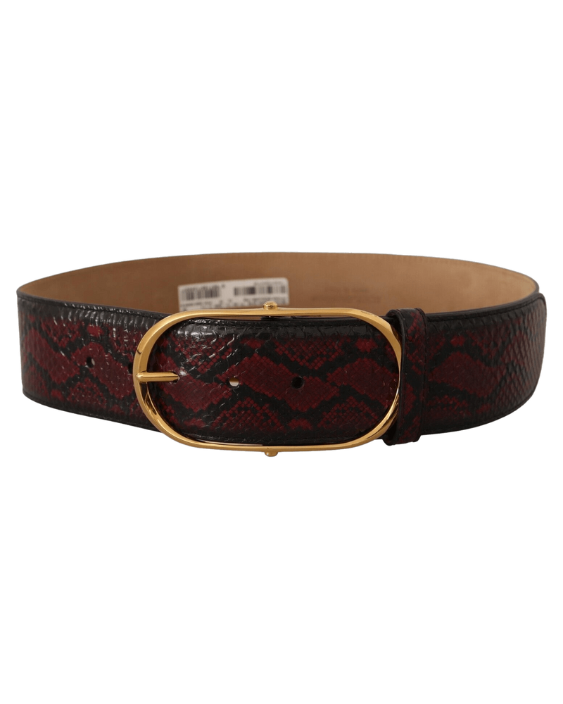 Dolce & Red Gabbana Leather Exotic Oval Buckle Belt Glam Steals