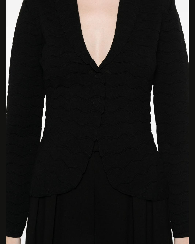 Emporio Armani Jacket Glam Steals