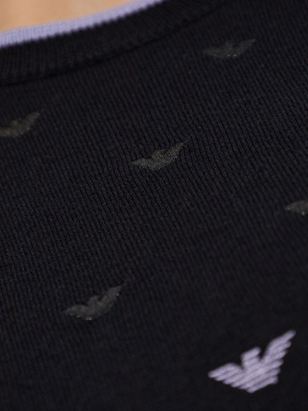 Emporio Armani Jumper with All Over Micro Eagle Embroidery Glam Steals