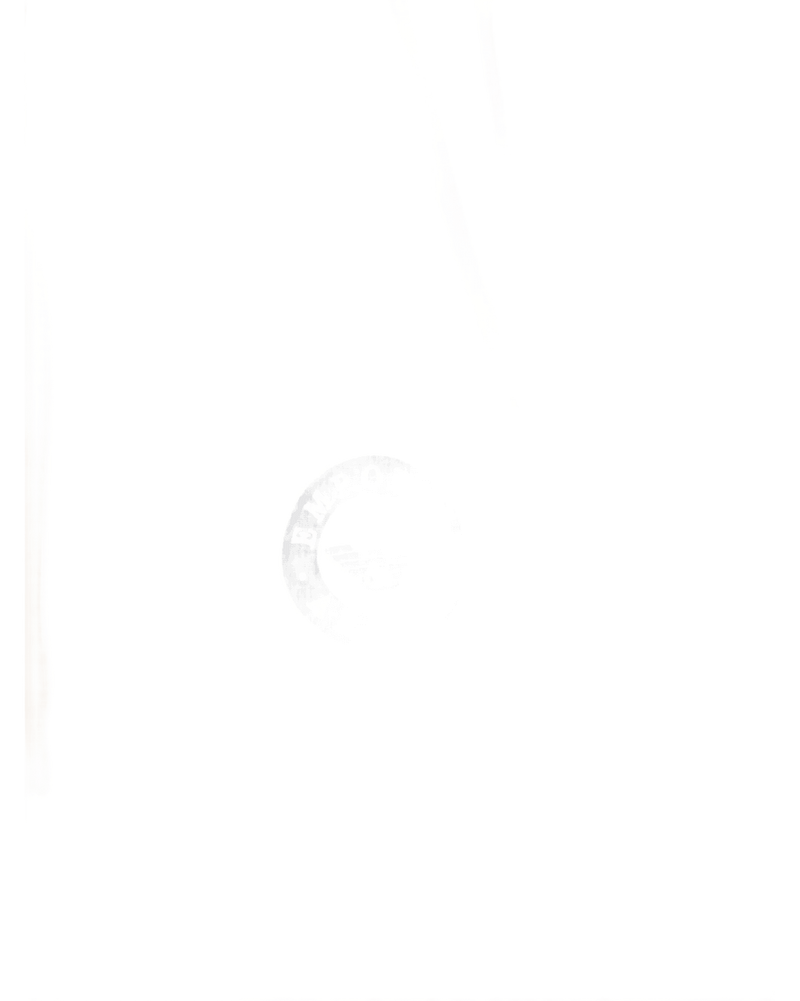 Emporio Armani Ivory Trousers Glam Steals