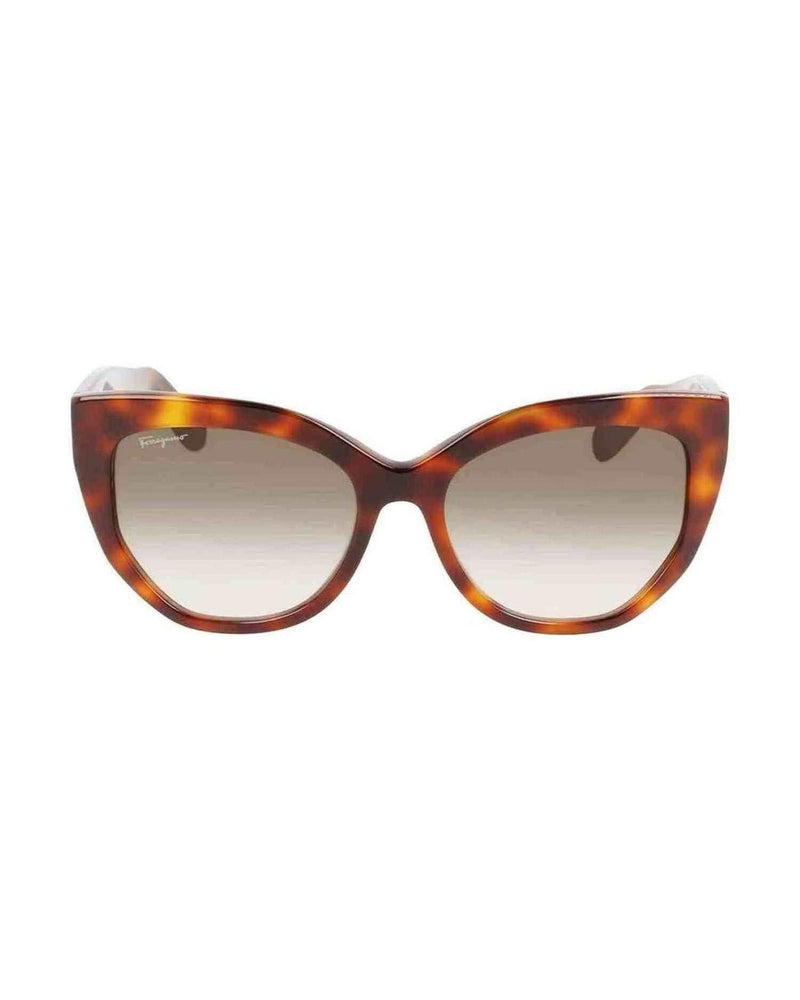 Ferragamo Acetate Brown Sunglasses Glam Steals