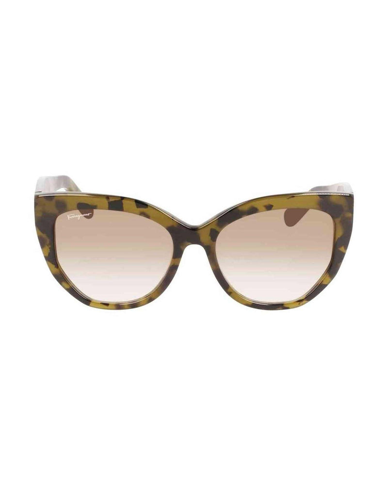 Ferragamo Acetate Brown Sunglasses Glam Steals