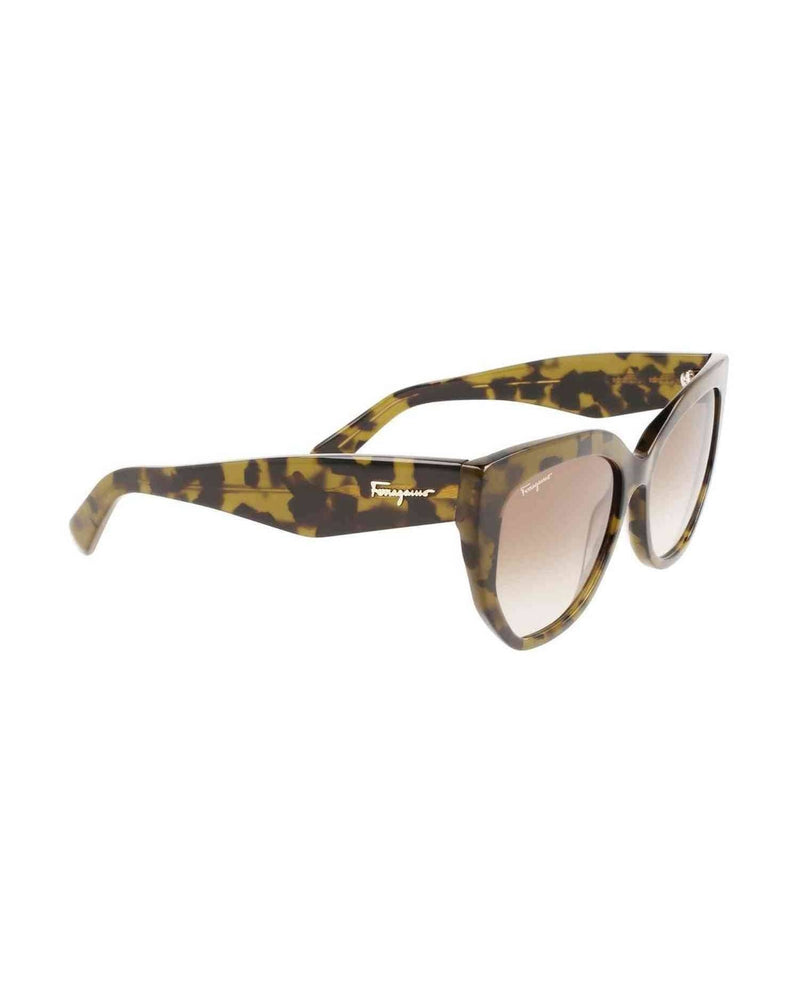Ferragamo Acetate Brown Sunglasses Glam Steals