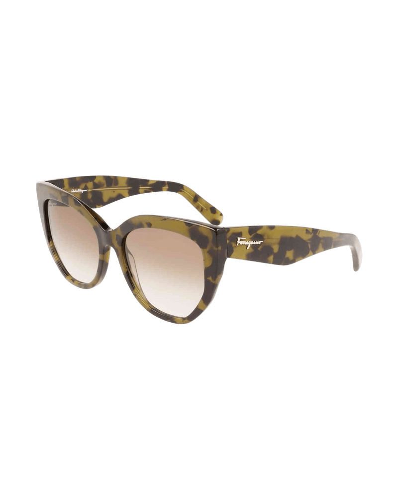Ferragamo Acetate Brown Sunglasses Glam Steals