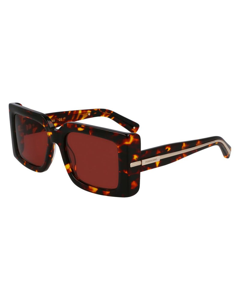 Ferragamo Brown Acetate Sunglasses Glam Steals