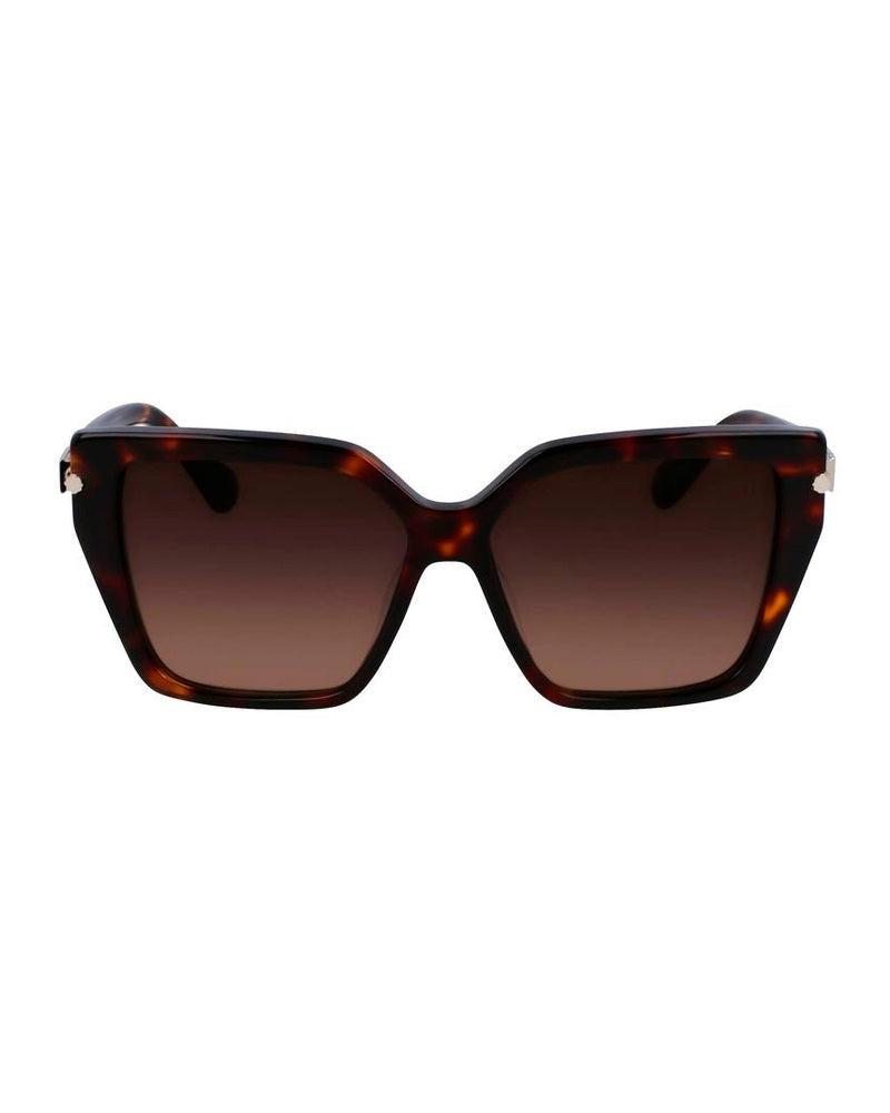 Ferragamo Brown Acetate Sunglasses Glam Steals