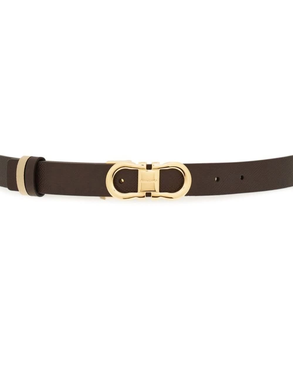 Ferragamo Brown Belts Belts