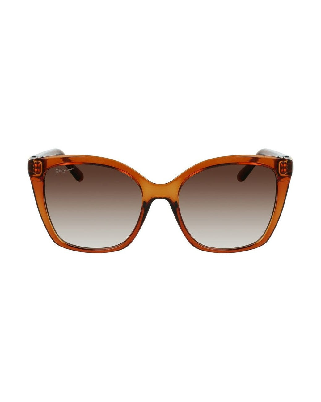 Ferragamo Brown Injected Sunglasses 