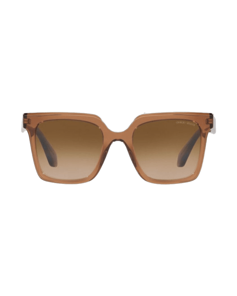 Giorgio Armani Brown Acetate Sunglasses Glam Steals