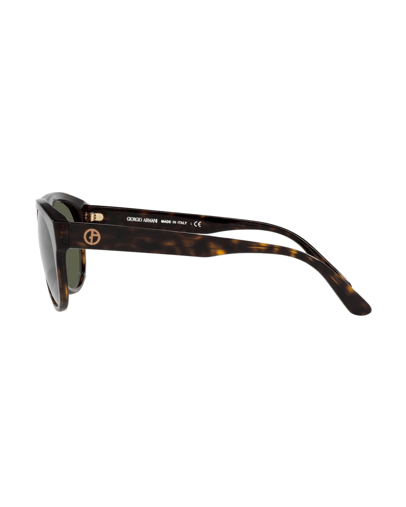 Giorgio Armani Brown Acetate Sunglasses Glam Steals