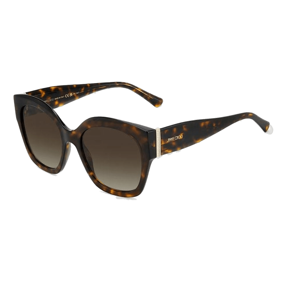Jimmy Choo Brown Acetate Sunglasses Glam Steals