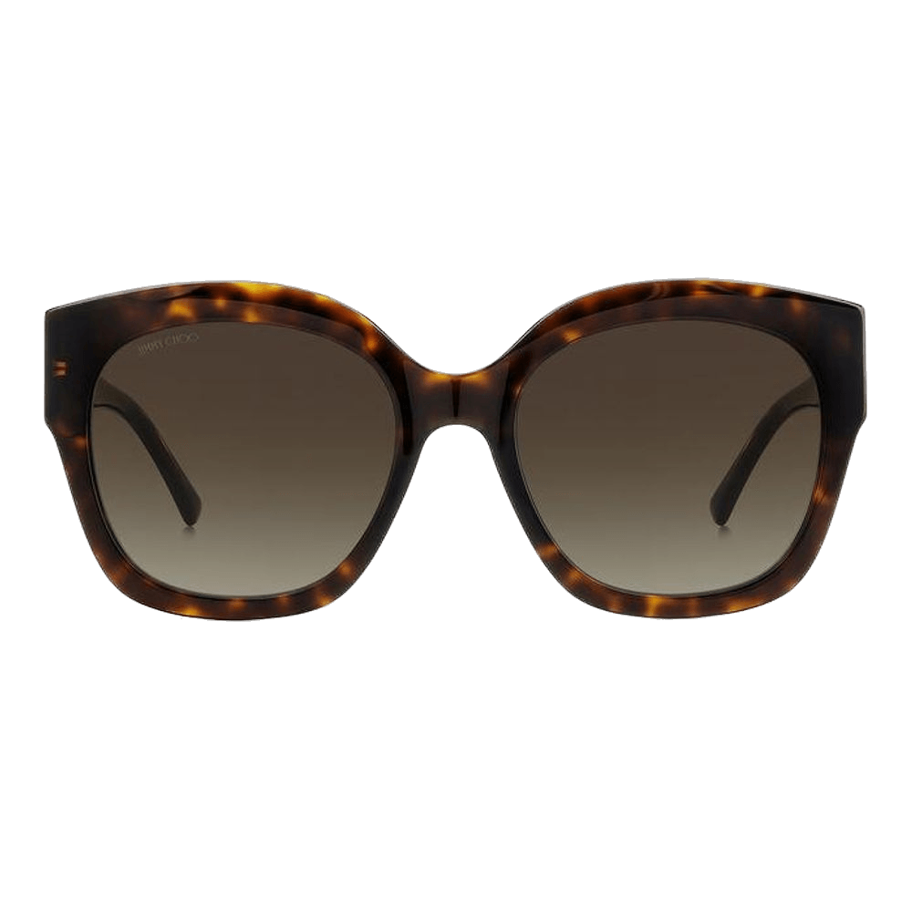 Jimmy Choo Brown Acetate Sunglasses Glam Steals