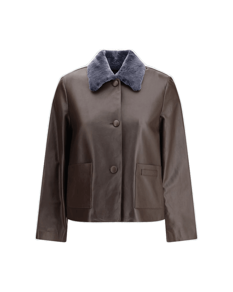 Marnie Brown Leather Jacket Glam Steals