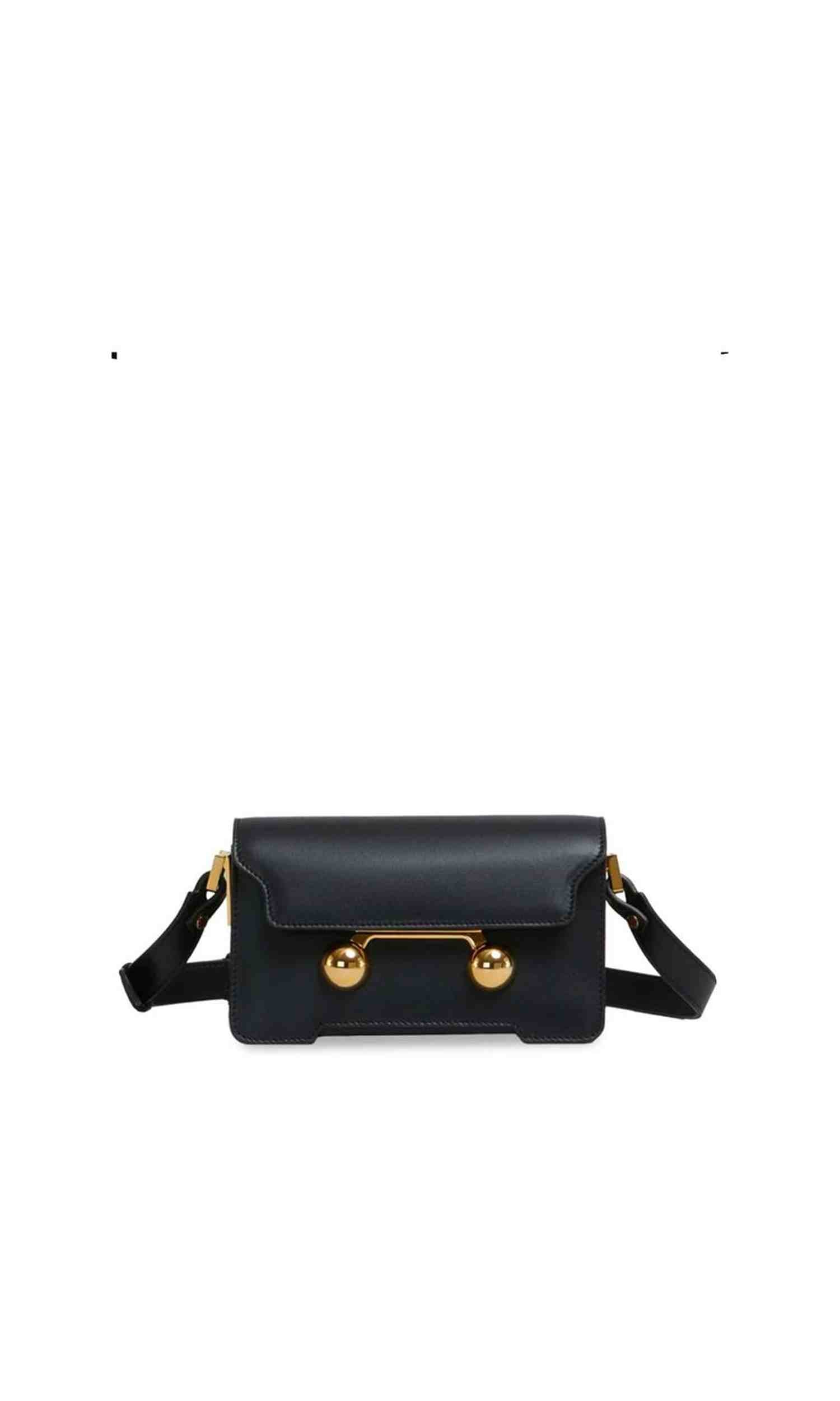 Marnie Marni Trunkaroo Mini Bag Glam Steals