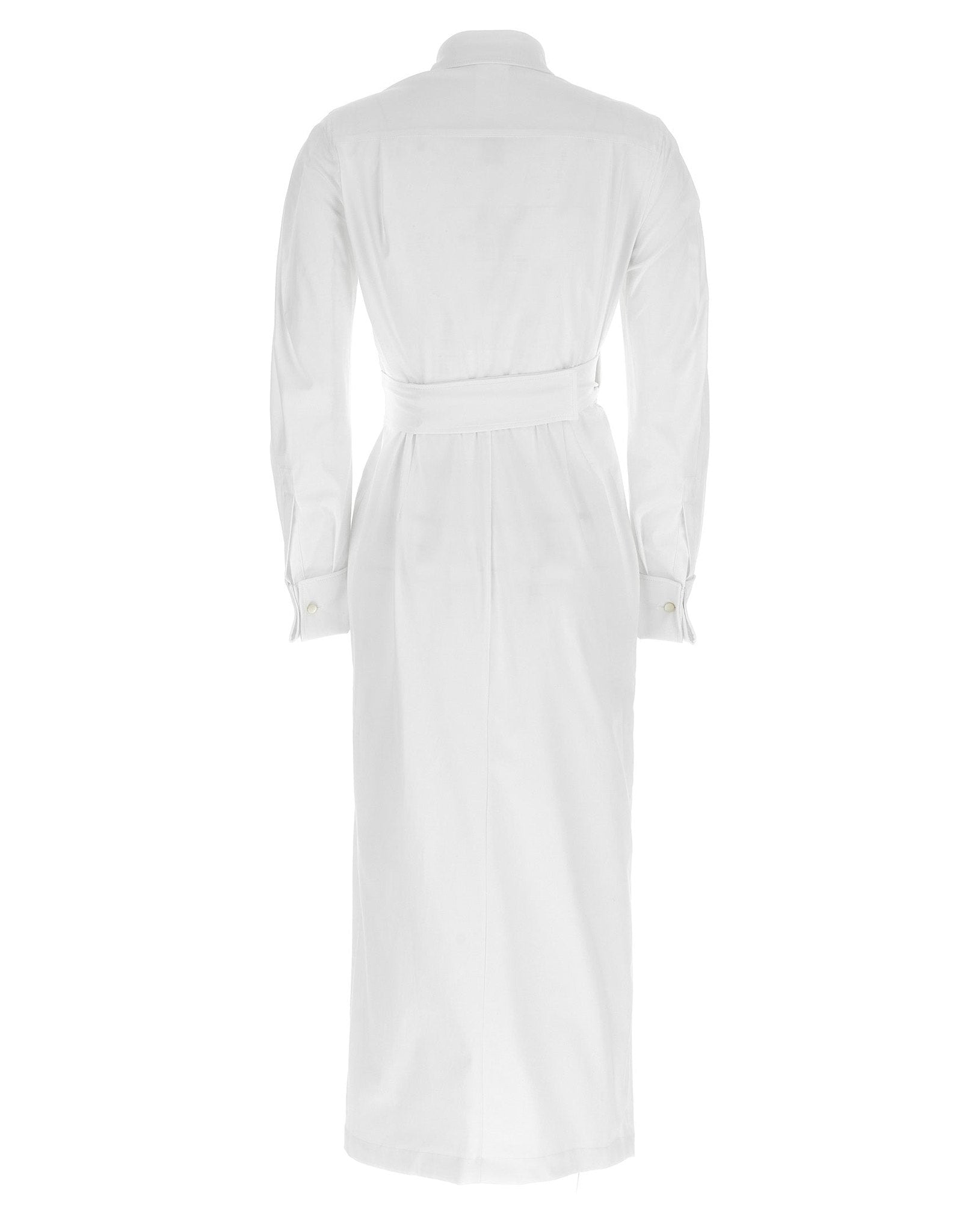 Max Mara Balzac Dress Glam Steals