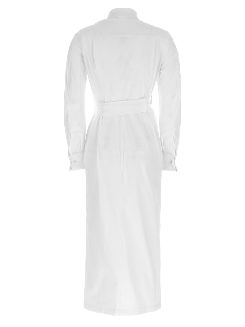 Max Mara Balzac Dress Glam Steals