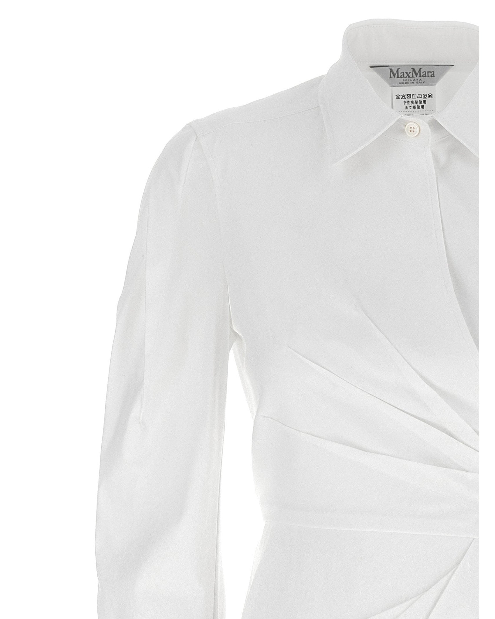 Max Mara Balzac Dress Glam Steals