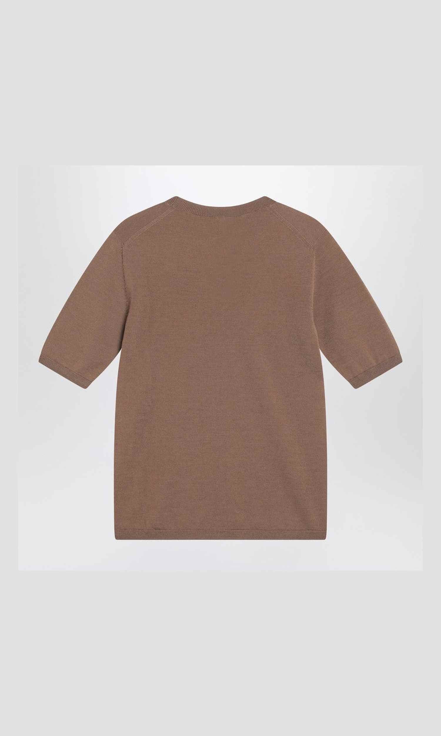 Max Mara Wool Hazelnut Coloured Crew Neck Sweater Glam Steals