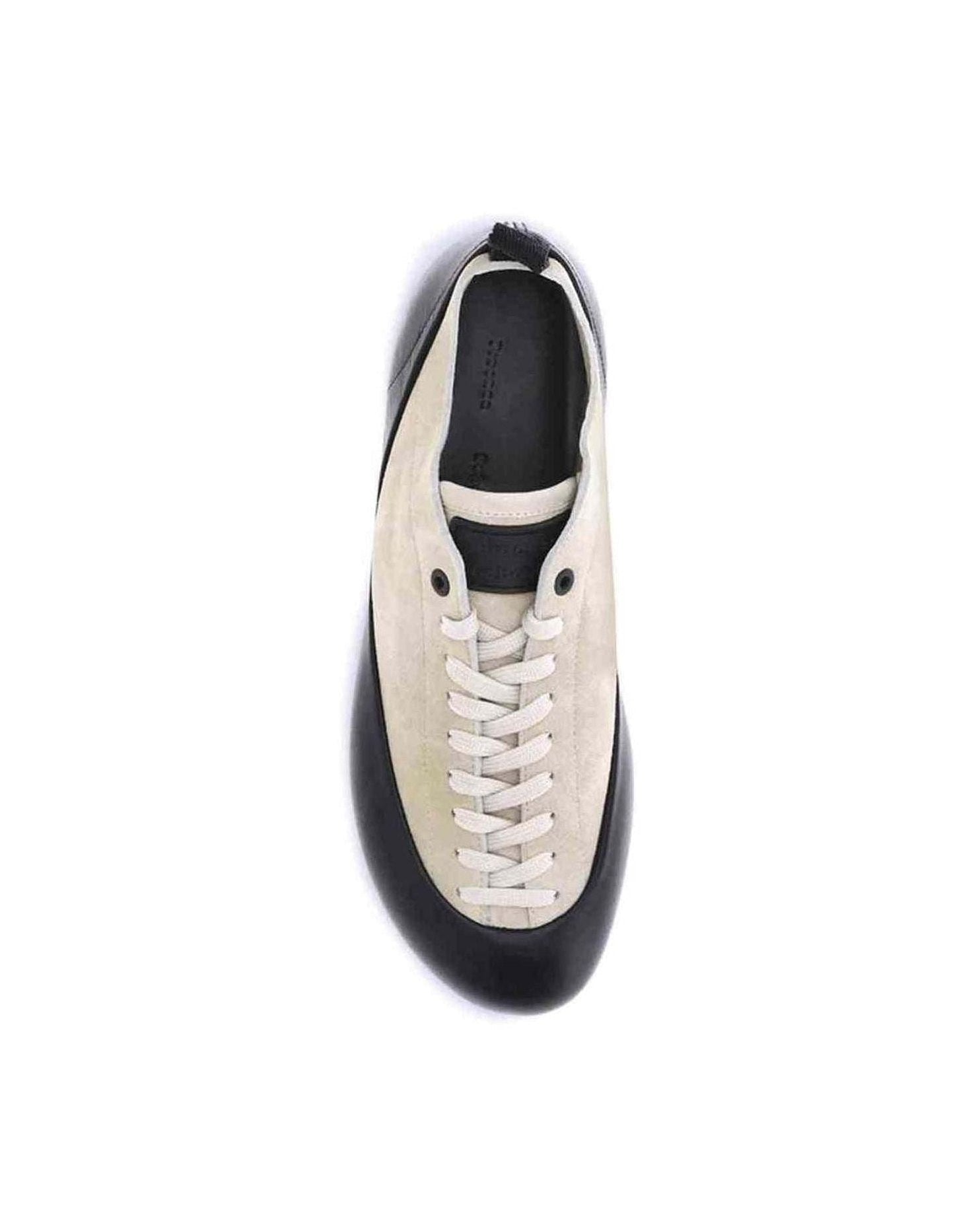 Proenza Schouler Arcadia Sneakers Glam Steals