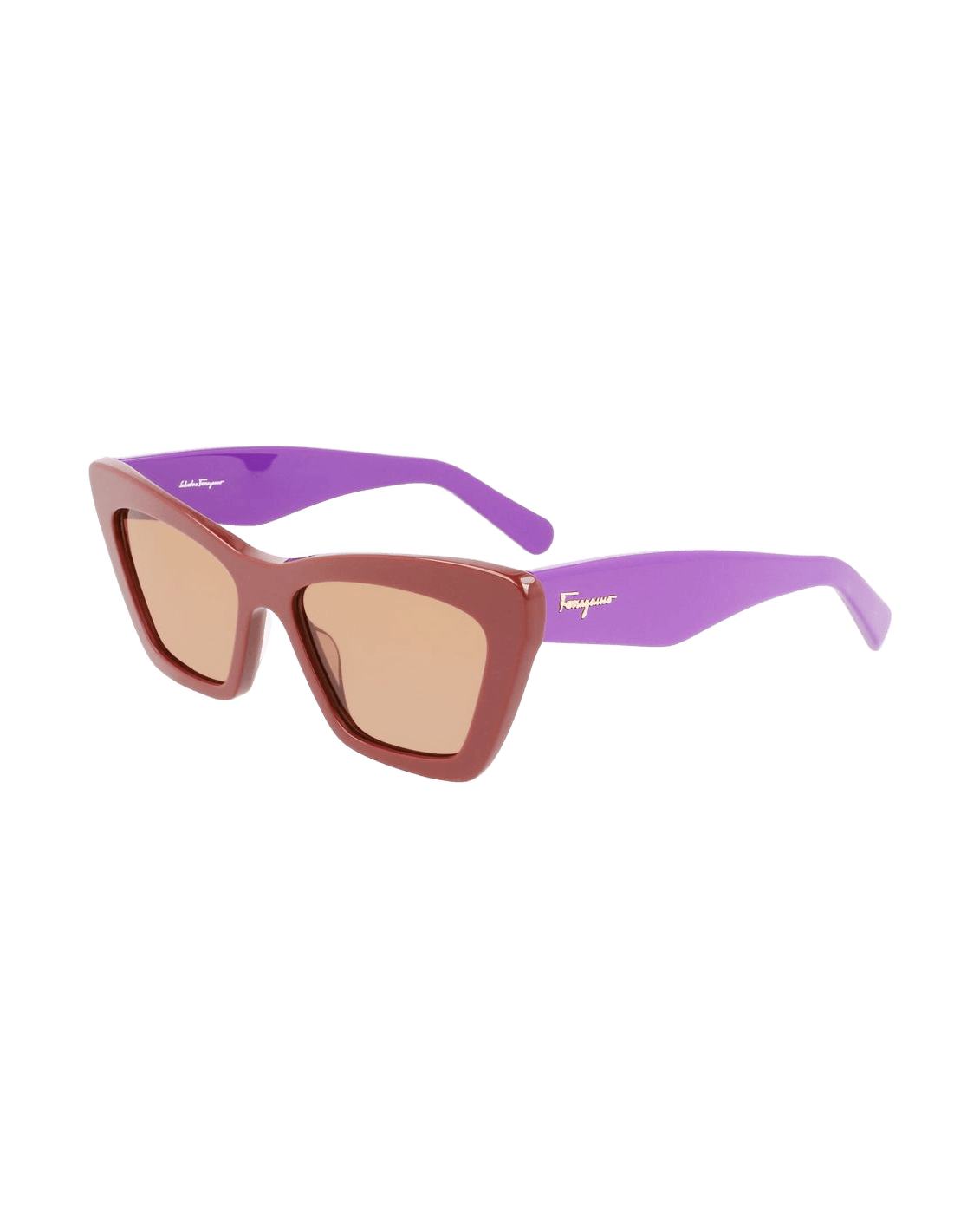 Salvatore Ferragamo Brown Acetate Sunglasses Sunglasses