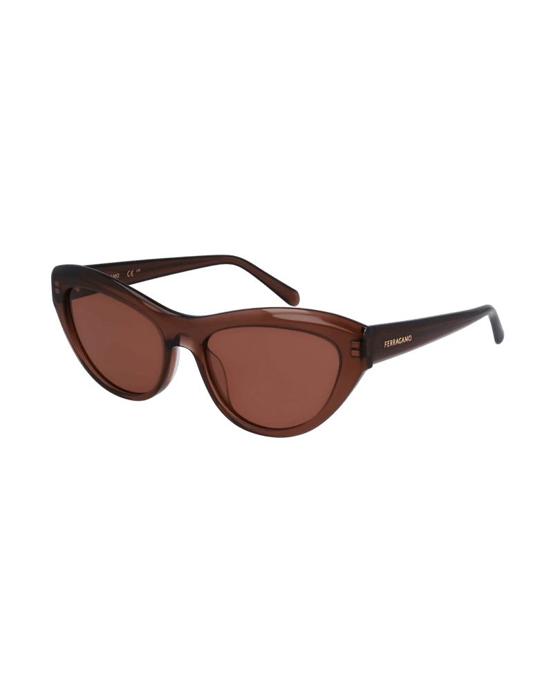 Salvatore Ferragamo Brown Acetate Sunglasses Glam Steals