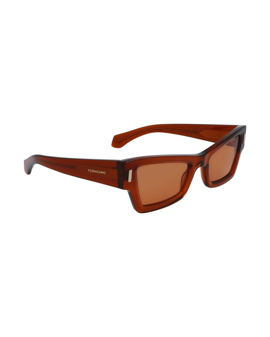 Salvatore Ferragamo Brown Acetate Sunglasses Glam Steals