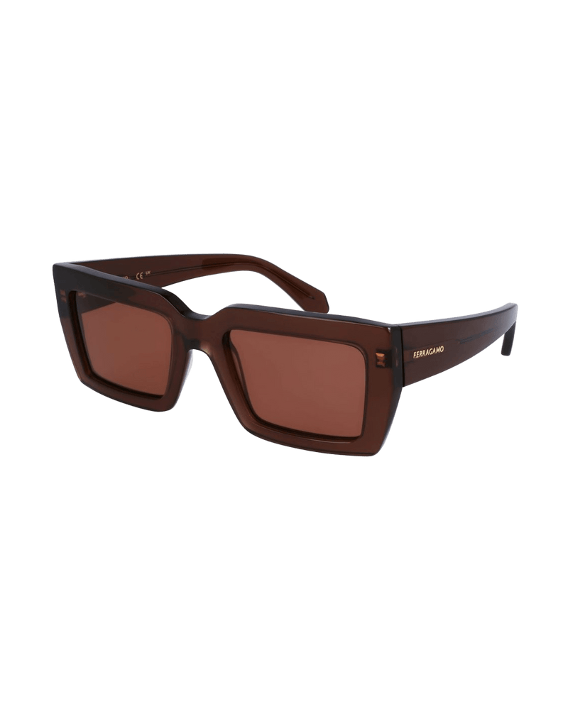 Salvatore Ferragamo Brown Acetate Sunglasses Glam Steals